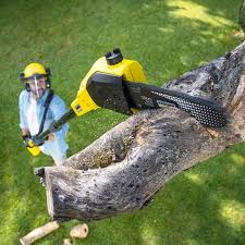 Best Lawn Watering Services  in Rose Hills, CA