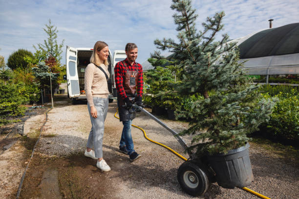 Best Tree Trimming and Pruning  in Rose Hills, CA